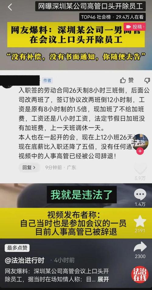 美国高管爆料视频播放,揭秘企业内部惊人真相